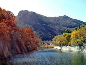 新澳天天开奖资料大全旅游团，神机妙算软件售价